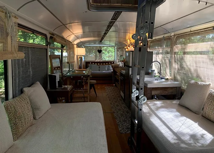 Magic Roof Top Bus With Big Bath In The Tree Forest!