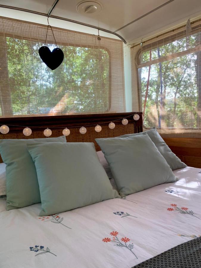 Magic Roof Bus With Big Bath In The Tree Forest! *