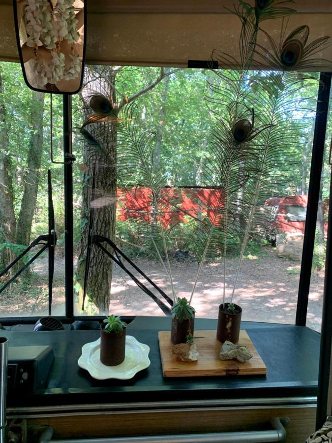 Campingplatz Magic Roof Bus With Big Bath In The Tree Forest! Mimizan