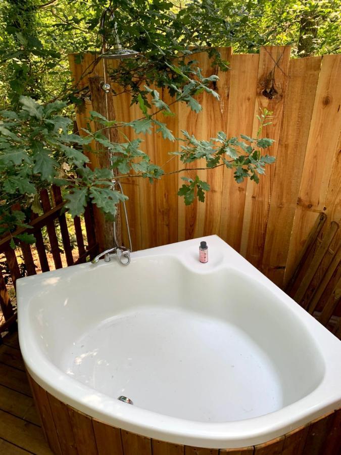Magic Roof Bus With Big Bath In The Tree Forest!
